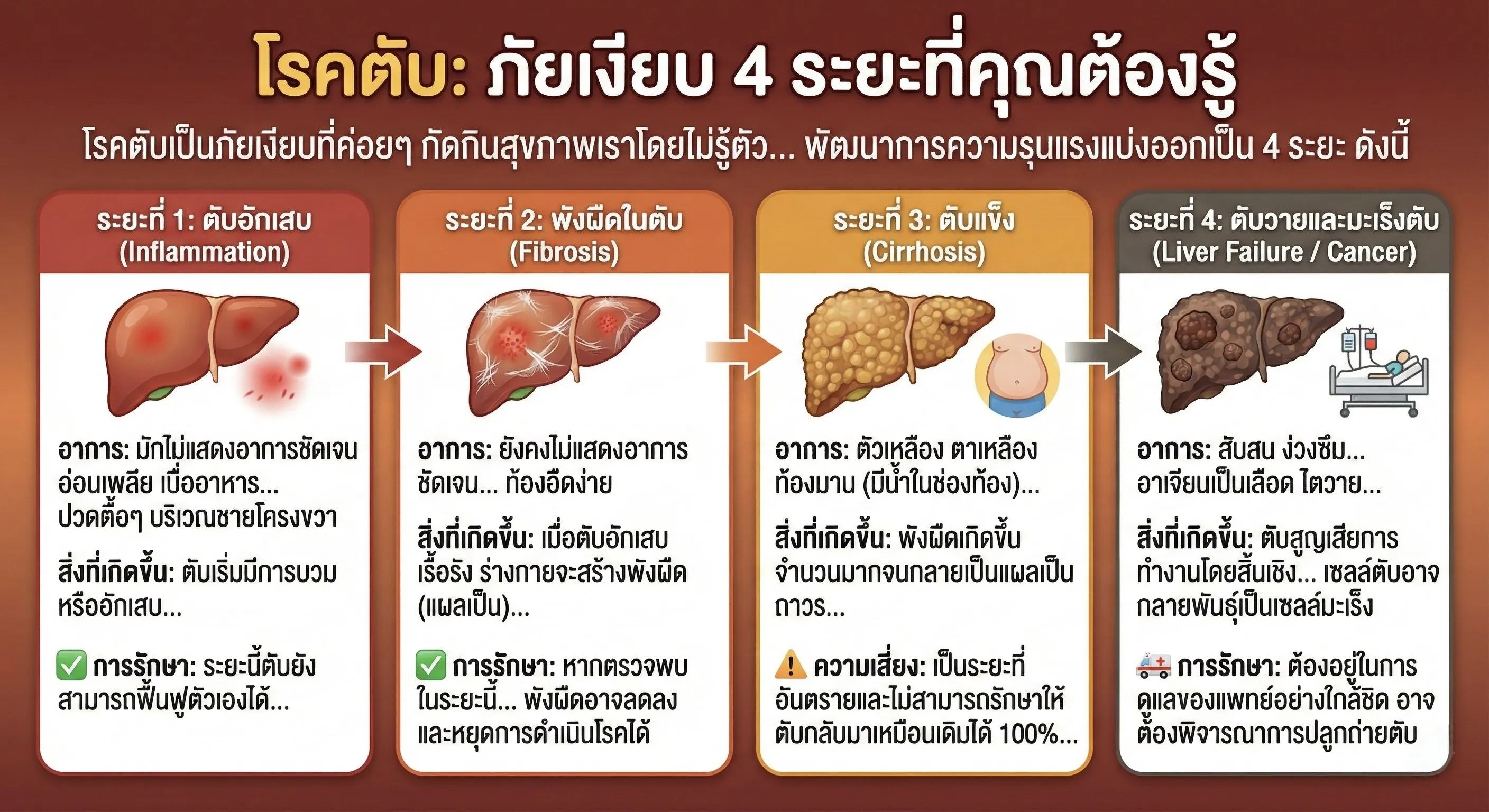 ระยะของโรคตับ